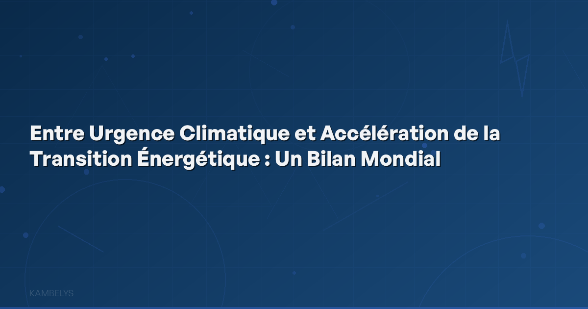 Between Climate Emergency and Accelerated Energy Transition: A Global Assessment